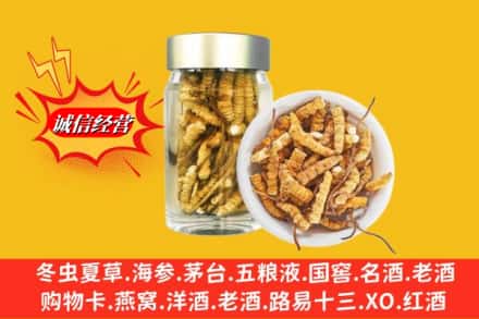 惠安县求购回收散虫草