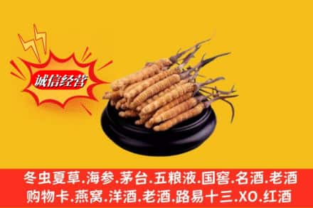 惠安县求购回收虫草多少钱每克